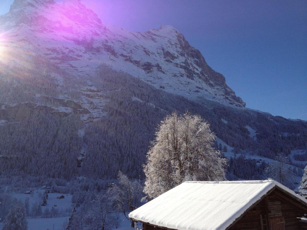 Apartment Chalet Bärgsunna-2 Grindelwald Eksteriør bilde